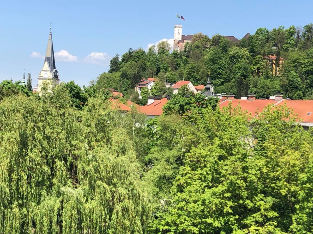 Apartma Castle View *